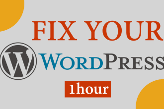 fix wordpress issues, fix wordpress website, and bug