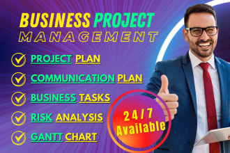 do project management plan, business task, risk report writing, gantt chart, PPT