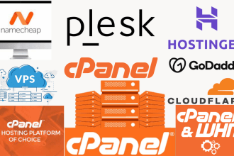 configure manage nginx apache cpanel plesk dns cloudflare godaddy hosting