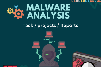 do malware analysis task and projects