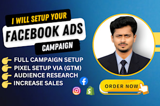 facebook ads campaign manager, run fb ads campaign, shopify fb ad