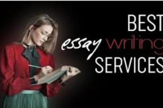 write essays in english literature, drama, poetry, literary analysis