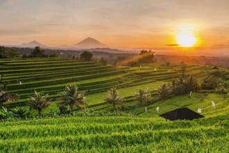 plan an ultimate travel itinerary for you in bali