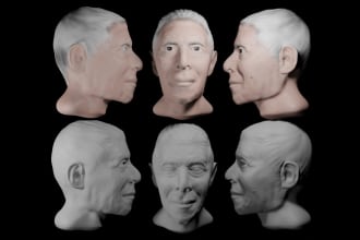 sculp a realistic 3d head for you