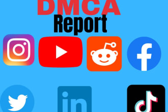report leaked content under dmca