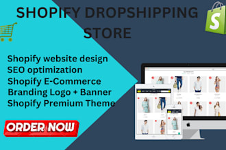 establish a dropshipping shop on shopify website