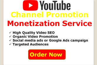 do organic youtube channel promotion, video SEO, and monetization