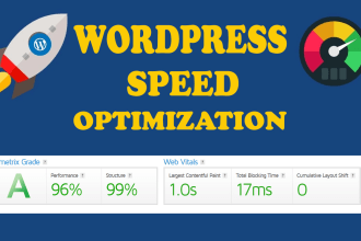 do wordpress website speed optimization with gtmetrix, google pagespeed insights