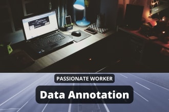 do data entry, data annotation and data labelling