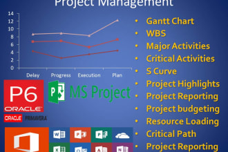 create gantt chart schedule with primavera p6 and ms project
