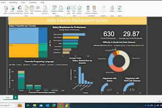 make professional dashboards on powerbi and tableau