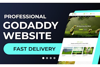 create professional godaddy website for your business
