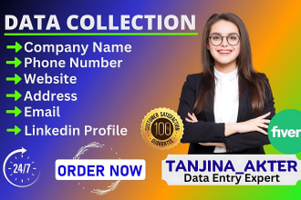 find address, phone, email, websites, excel data entry