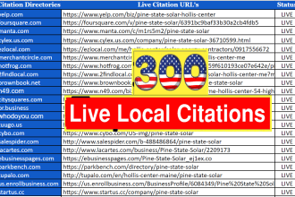 do top 300 live USA local citations and directory