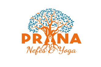 design creative yoga tree logo for you