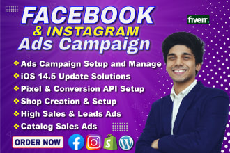 be your facebook ads campaign manager, run fb ads campaign, shopify fb ads