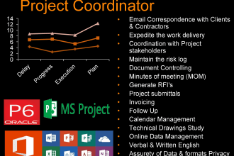 be your project coordinator and document controller