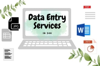 do fastest data entry in 24h  and internet research