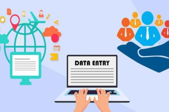 do web research, email scrapping, data entry, and find sales leads