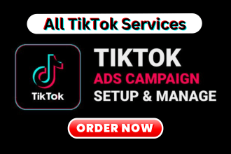 run tik tok ads, tik tok ads manager, and tiktok marketing