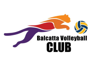 make awesome volleyball club logo design for you