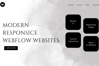 design modern responsive webflow design