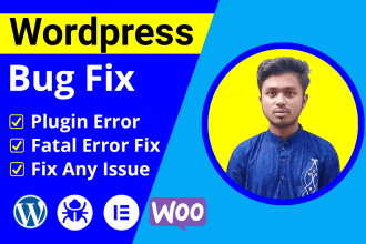 fix any wordpress error problem or bug within 1 hour