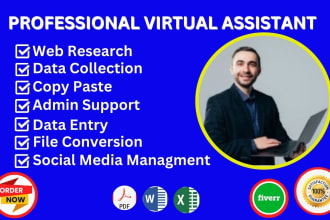 be professional virtual assistant for lead generation typing copy paste any task