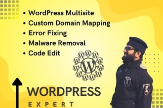 optimize wordpress multisite network with custom domain mapping