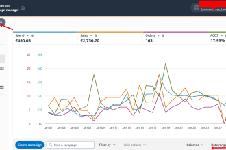 setup, manage amazon PPC campaign and do amazon PPC campaign ads optimization