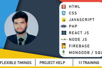 tutor you web development using HTML, CSS, javascript, react js, node js