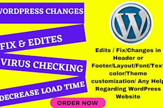 provide perfect wordpress website changes and customization services