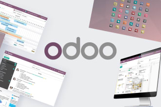 do consulting and dev of business moduls in odoo, w or wo license, problem sol