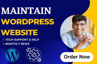 do website maintenance wordpress support wordpress updates fix elementor error