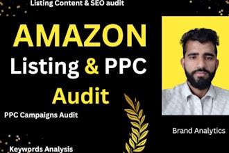 audit your amazon ppc campaigns and amazon listings and find issues