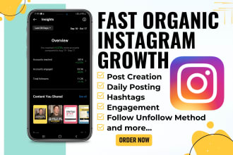 do fast organic instagram growth