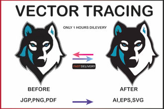 convert raster to vector, jpg to vector, redesign logo maps