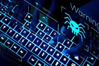 provide expert advice on cybersecurity and data protection