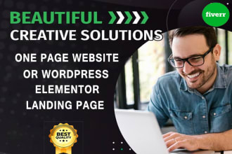 build 1 page website or elementor landing page in wordpress