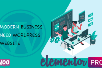 create attractive business wordpress website
