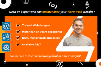 maintenance your wordpress website, update or do monthly support