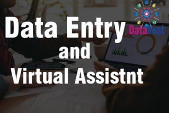 be your professional excel data entry and virtual assistant