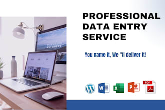 do data entry, copypaste, web research and excel data entry