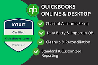 do quickbooks cleanup, reconciliation and custom reporting