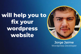 fix wordpress bugs and update your existing site