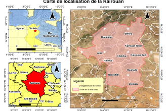 professional gis , remote sensing and python services