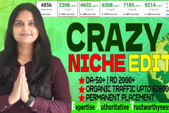 insert link in high da niche relevant SEO backlinks outreach on aged websites