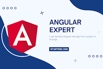 do angular web app develop and bug fixes