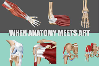 hand draw anatomy illustrations for publications