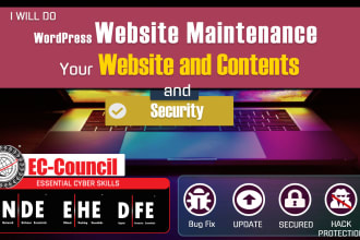 do wordpress website maintenance update bug fix security monthly